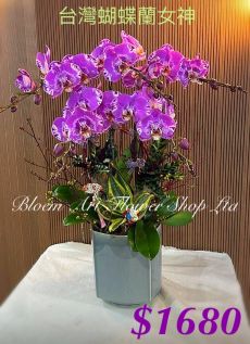 Table arrangement - Deluxe CODE 62894